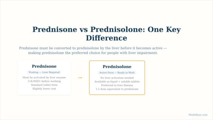 prednisone vs prednisolone comparison liver activation diagram