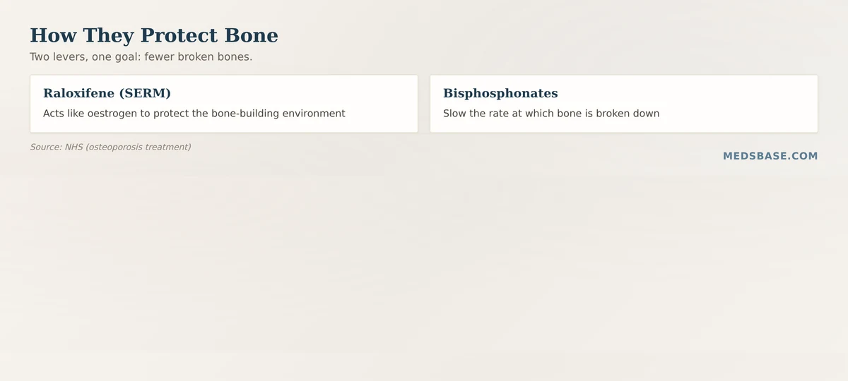 How raloxifene vs bisphosphonates work to protect bone