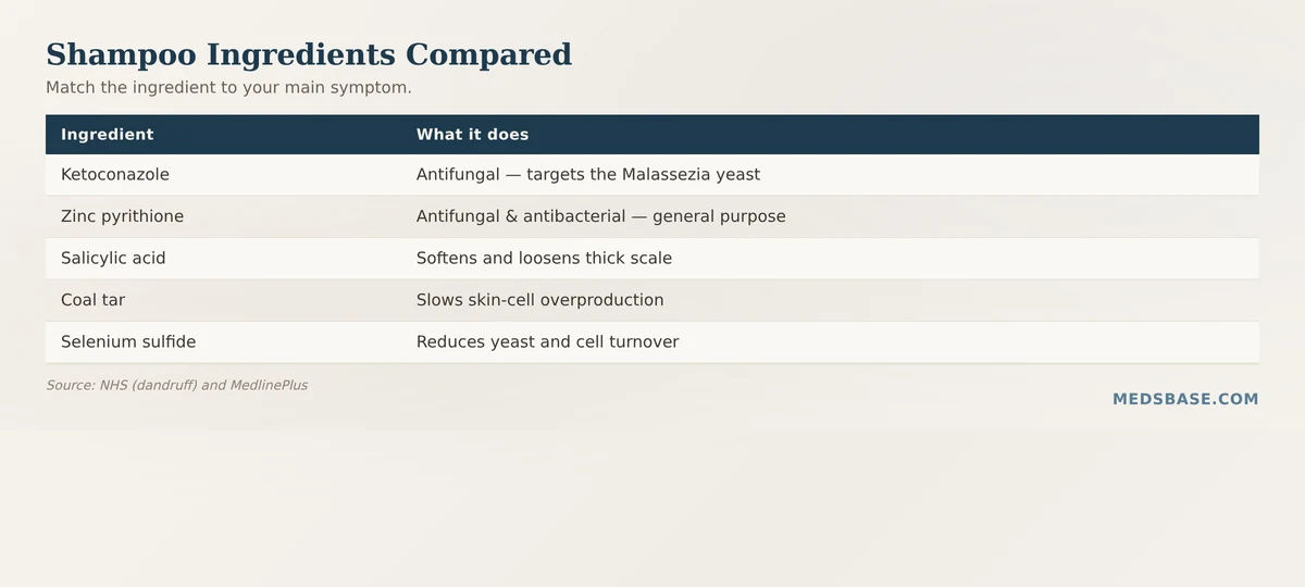 Seborrheic dermatitis shampoo ingredients compared — ketoconazole, zinc pyrithione, salicylic acid, coal tar
