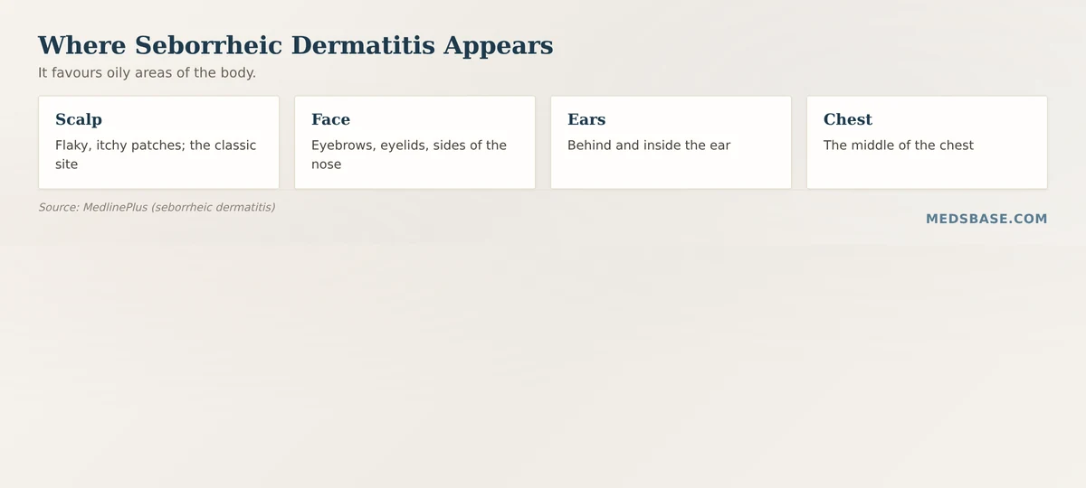 Where seborrheic dermatitis appears on the body