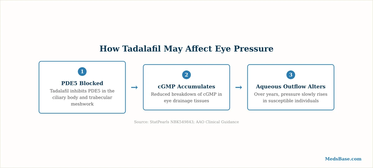 how tadalafil affects eye pressure through PDE5 inhibition