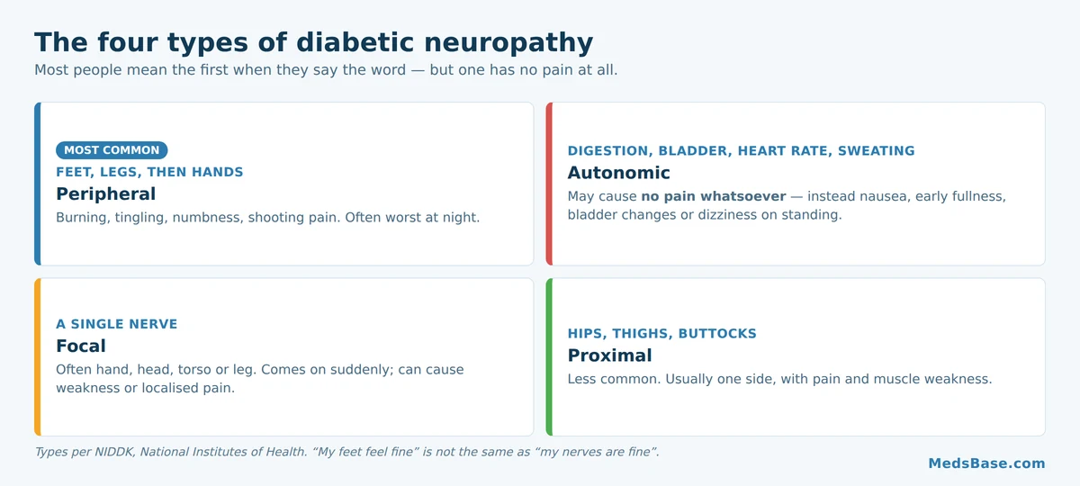 The four types of diabetic neuropathy and the body areas each one affects