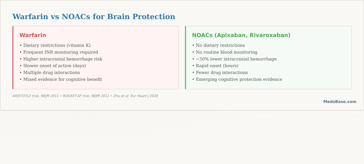 warfarin versus NOAC blood thinners cognitive decline brain safety comparison