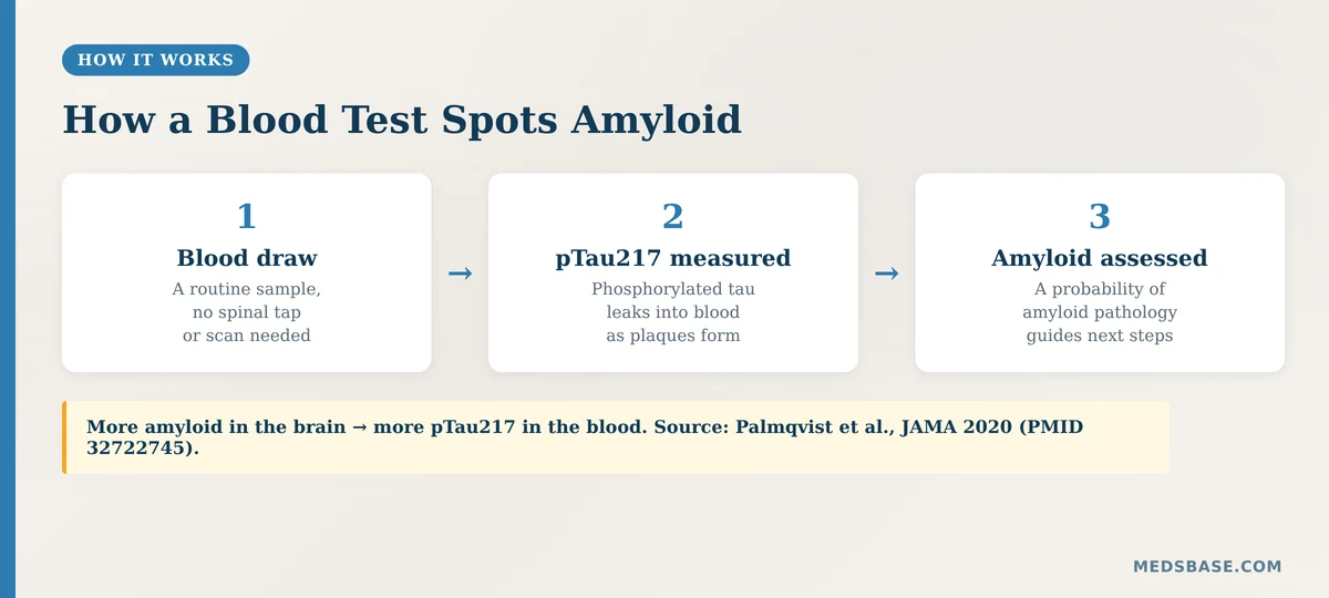 How an Alzheimer's blood test measures pTau217 to detect amyloid