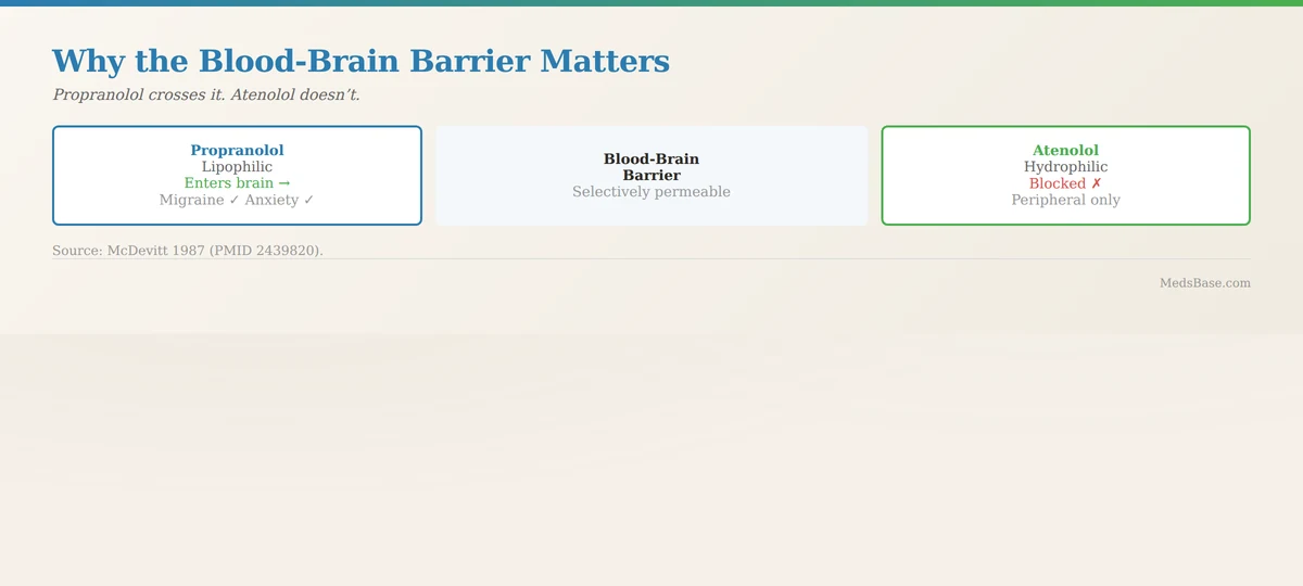 How propranolol vs atenolol differ in brain penetration mechanism diagram showing blood-brain barrier