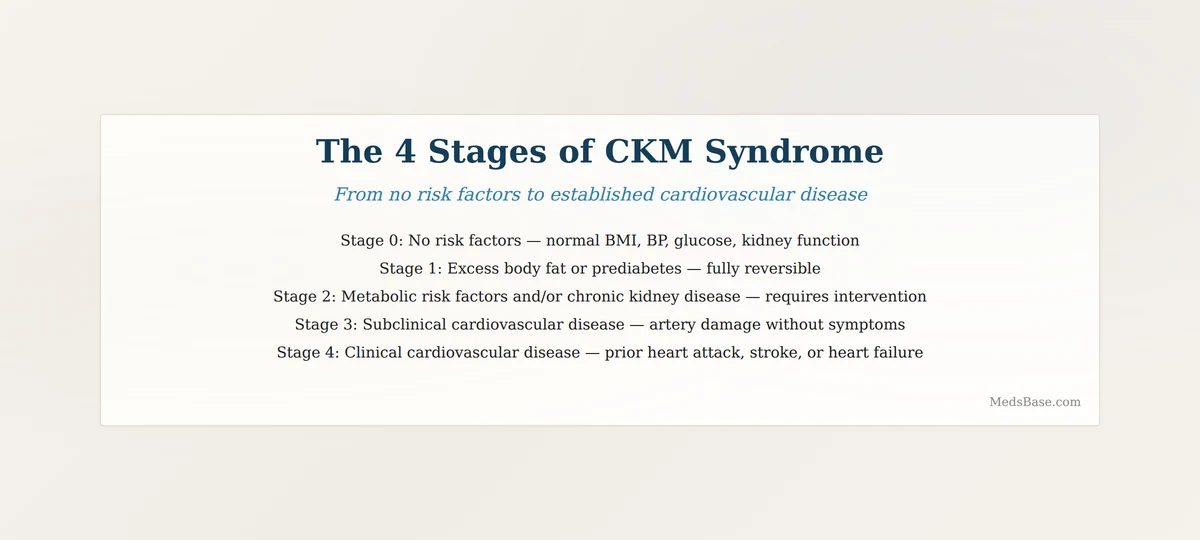 CKM syndrome four stages from stage zero to stage four