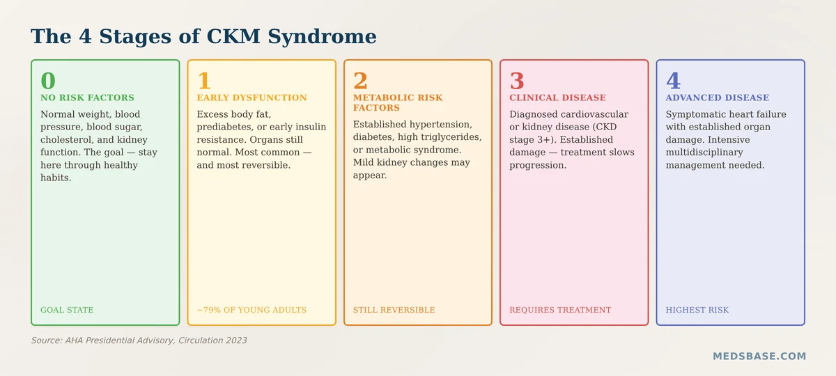 four stages of cardiovascular-kidney-metabolic syndrome progression
