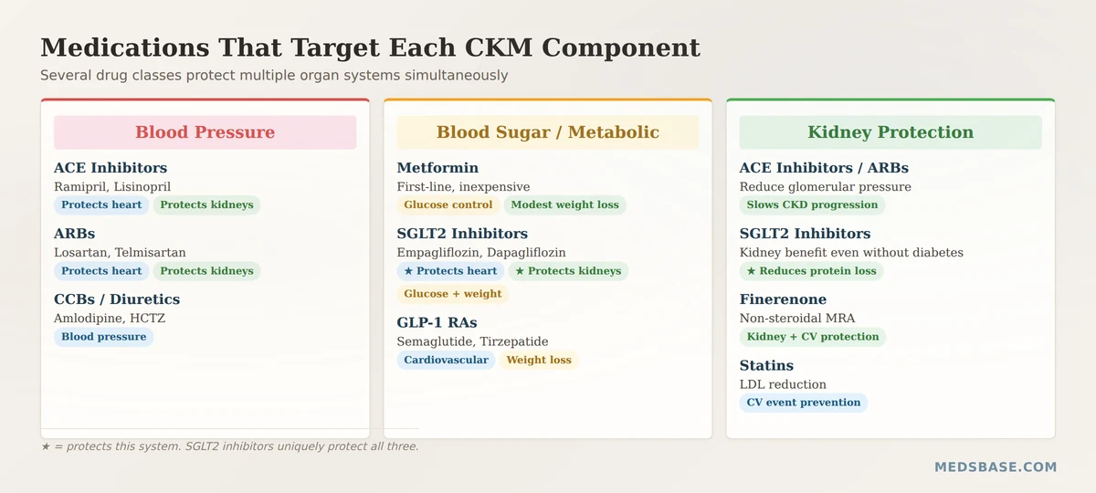 medications for cardiovascular-kidney-metabolic syndrome treatment