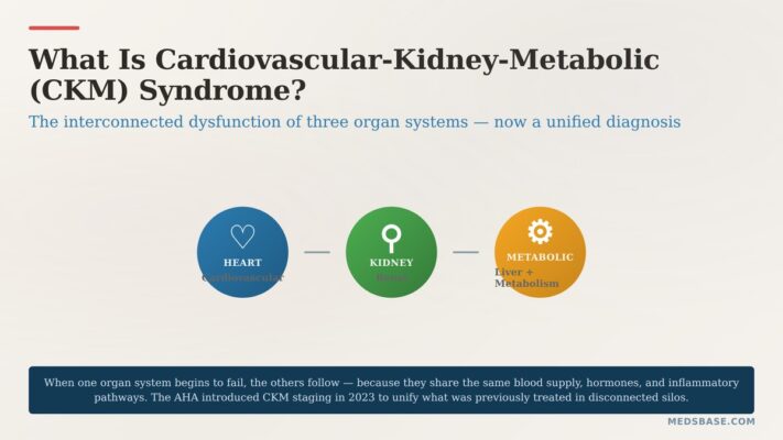 cardiovascular-kidney-metabolic syndrome stages and organ systems diagram