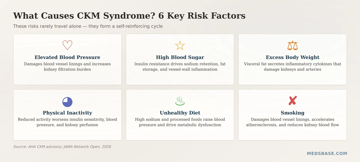cardiovascular-kidney-metabolic syndrome risk factors infographic