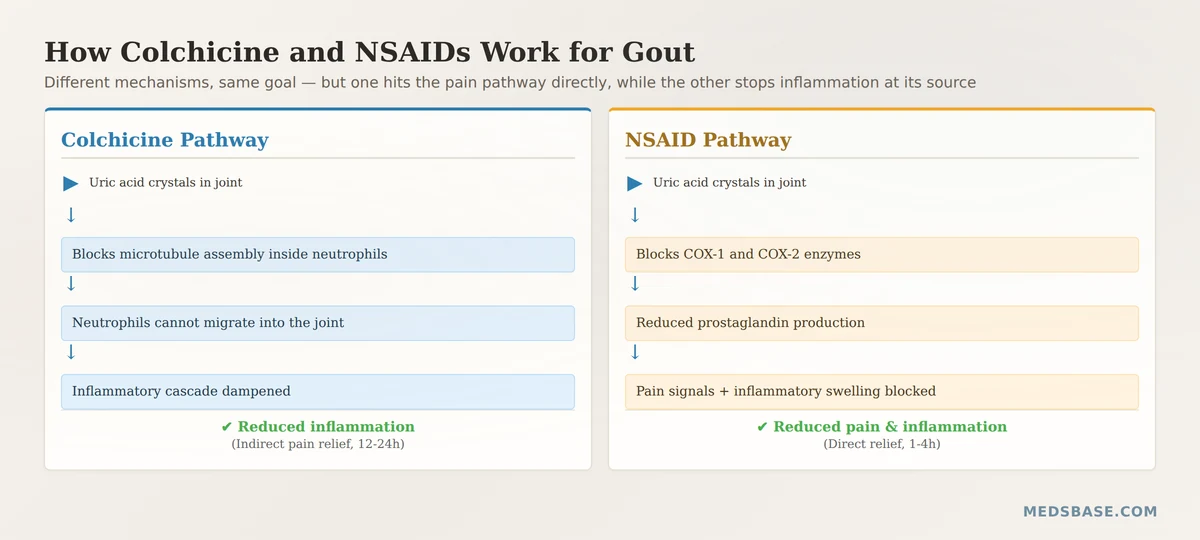 how colchicine and NSAIDs work for gout inflammation mechanism diagram