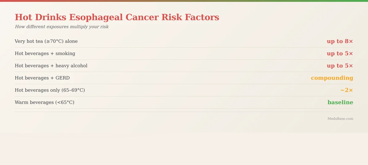 Hot drinks esophageal cancer risk factors showing how smoking alcohol and GERD amplify temperature-related risk