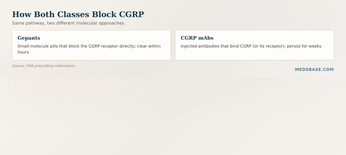 How gepants vs CGRP monoclonal antibodies block the CGRP migraine pathway differently