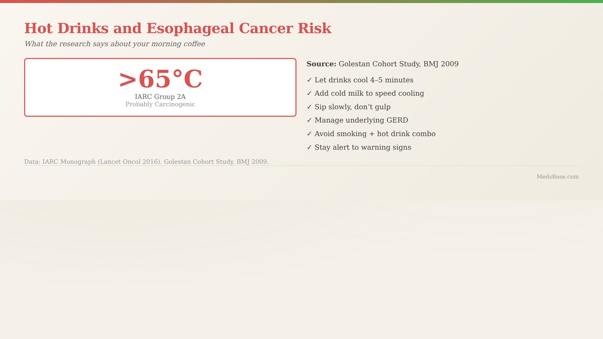 Hot drinks esophageal cancer risk infographic showing 65C temperature threshold and prevention steps