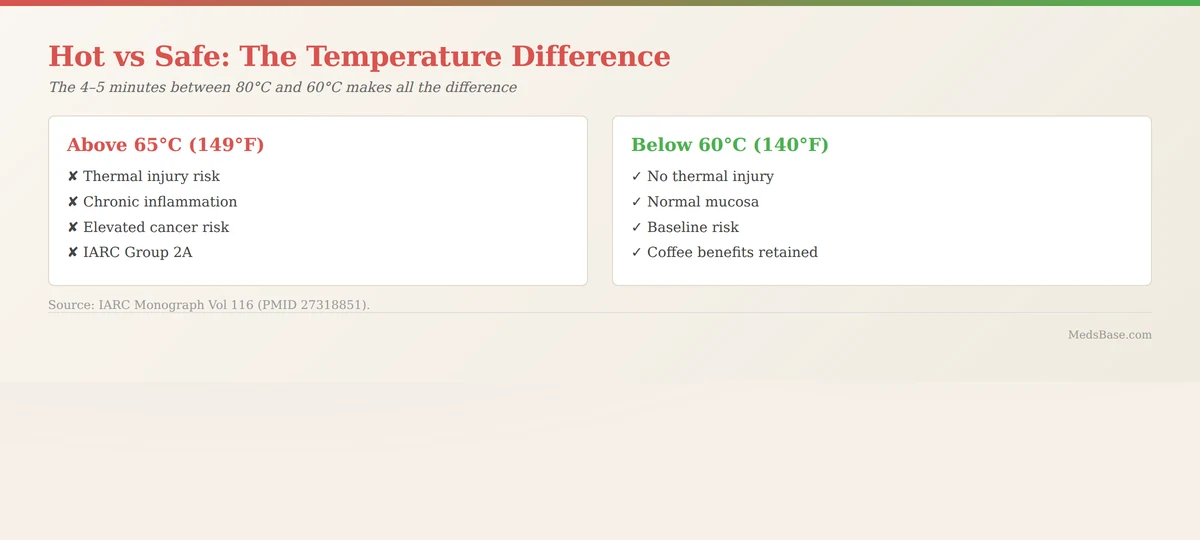 Hot drinks esophageal cancer risk above vs below 65C temperature comparison