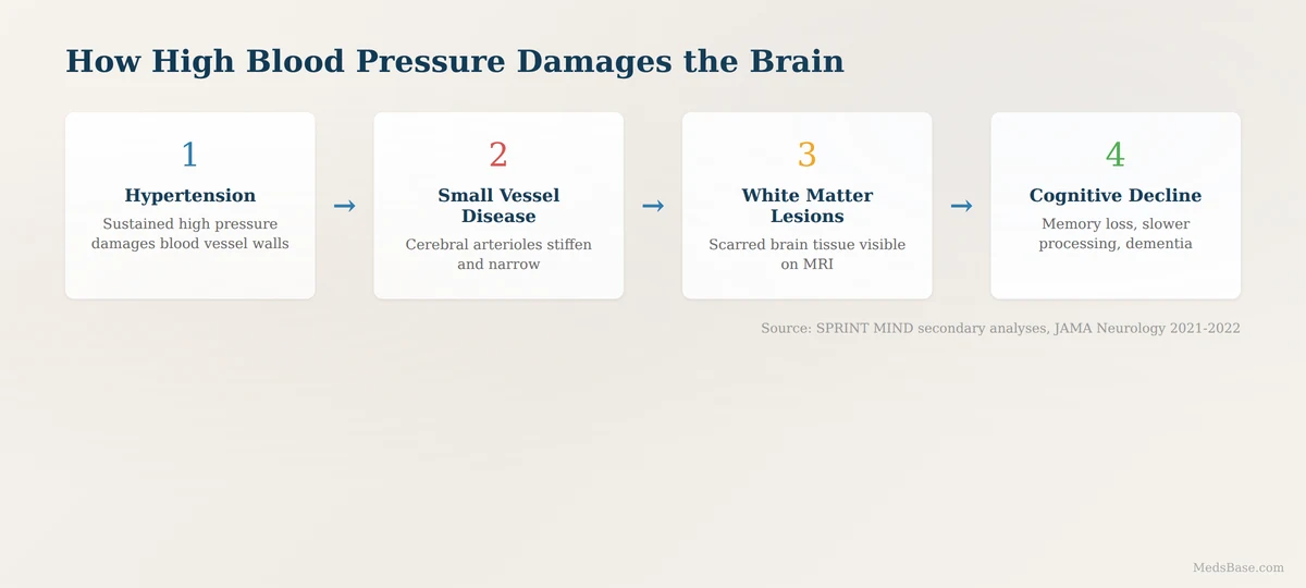 how high blood pressure damages the brain small vessel disease white matter lesions