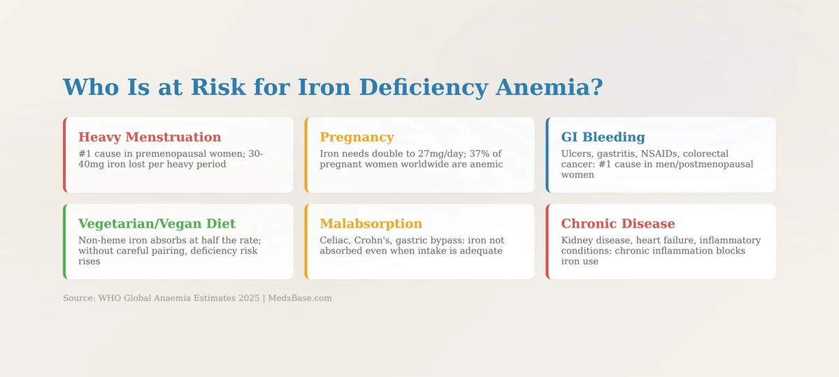 common causes and risk factors for iron deficiency anemia