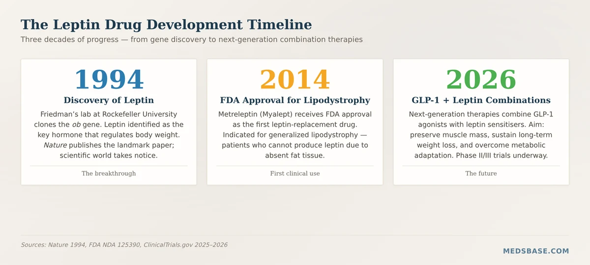 Leptin hormone weight loss drugs timeline 1994 to 2026