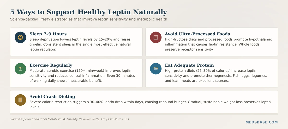 Natural ways to support leptin hormone weight loss