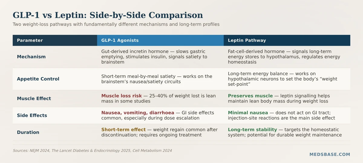 Leptin vs GLP-1 weight loss drugs comparison