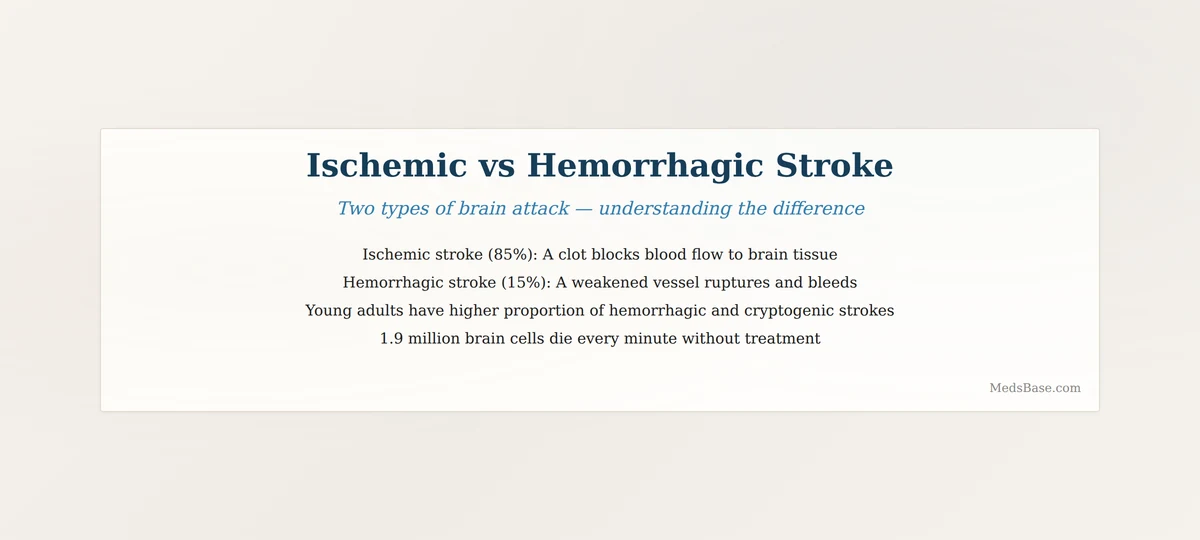 Ischemic and hemorrhagic stroke mechanism comparison
