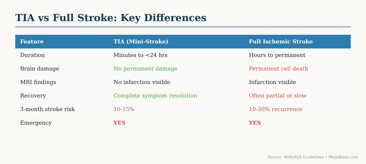 Mini stroke TIA warning signs and prevention — TIA vs full stroke comparison table