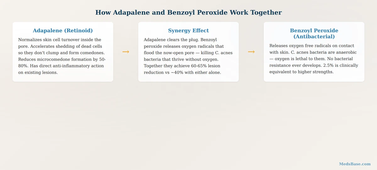 How adapalene and benzoyl peroxide work together against acne dual mechanism explained