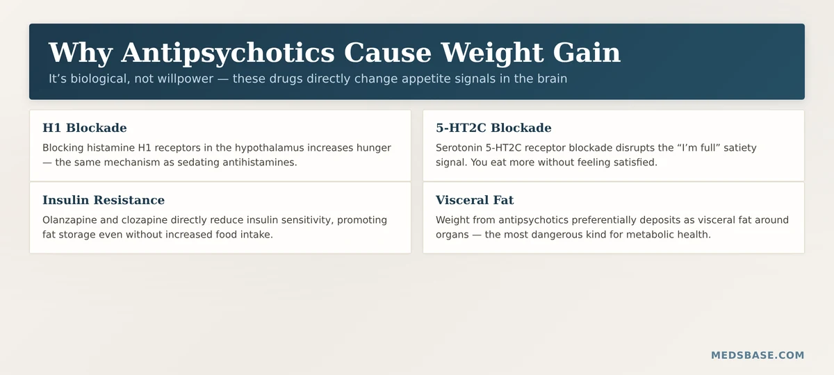 how antipsychotic medication blocks H1 serotonin receptors causing weight gain mechanism