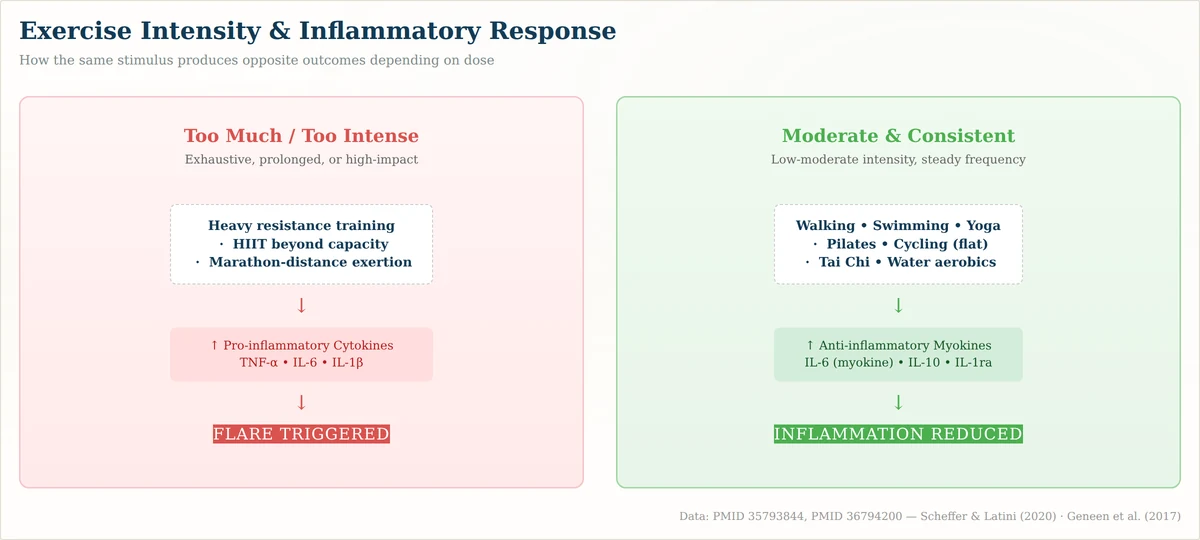 How exercise with autoimmune disease affects inflammation — the difference between pro-inflammatory and anti-inflammatory exercise