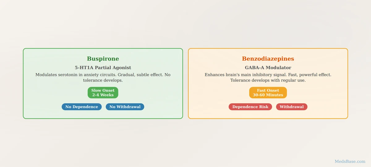 Buspirone 5-HT1A partial agonist vs benzodiazepine GABA-A mechanism diagram