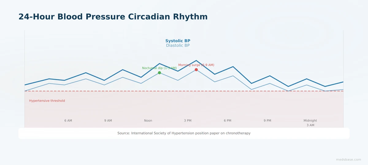 blood pressure medication morning vs evening circadian rhythm chart