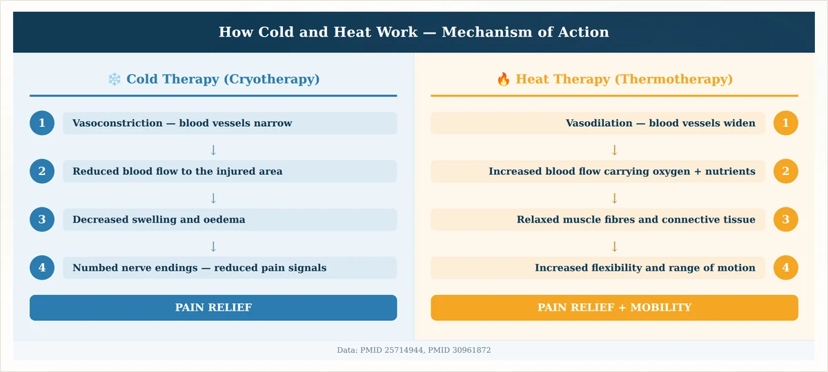 Physiological mechanisms of cold therapy vs heat therapy — vasoconstriction versus vasodilation effects on pain