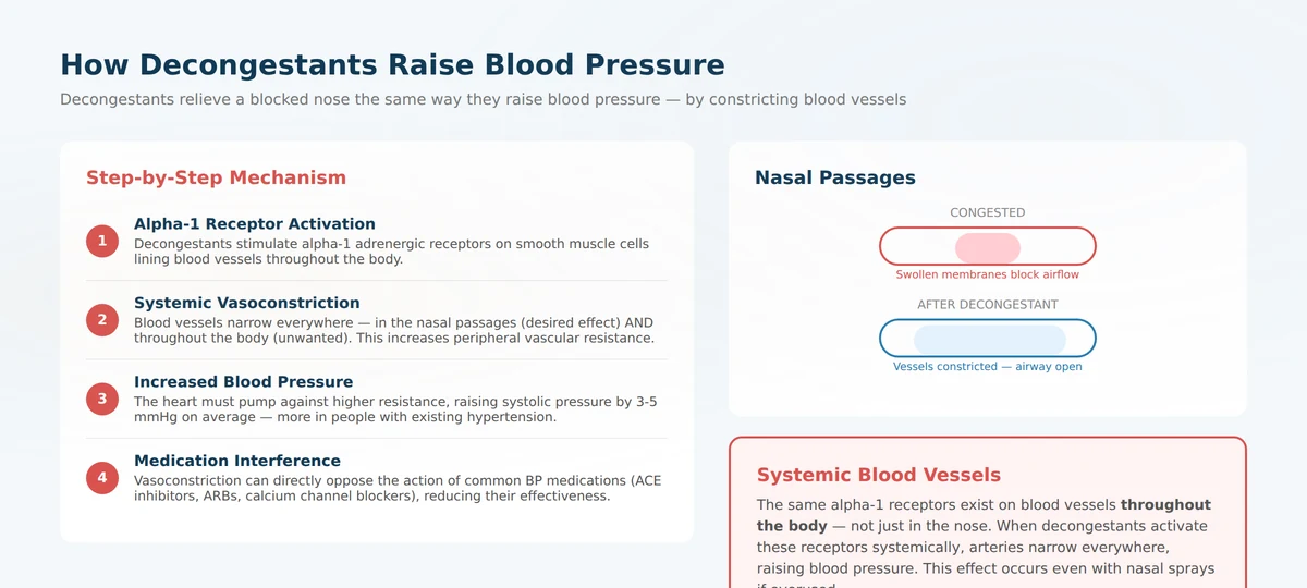 Mechanism diagram showing how decongestants constrict blood vessels and raise blood pressure