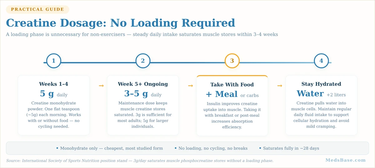 Creatine dosage guide for building muscle without exercise — 3-5g daily, no loading required