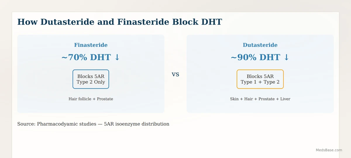 how dutasteride and finasteride block DHT through 5-alpha reductase inhibition