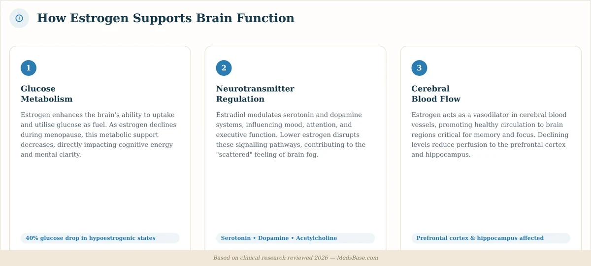 How estrogen regulates brain glucose metabolism, neurotransmitters, and cerebral blood flow to relieve menopause brain fog