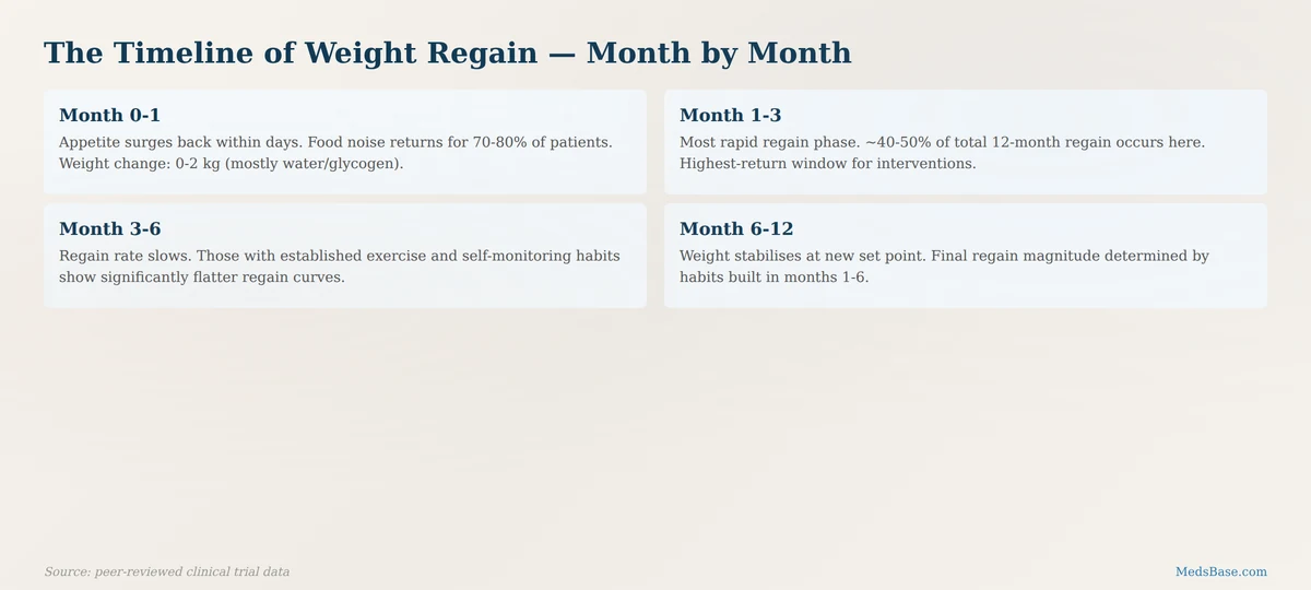 Timeline of weight regain after stopping GLP-1 medications showing appetite rebound and most rapid regain at months 1-3