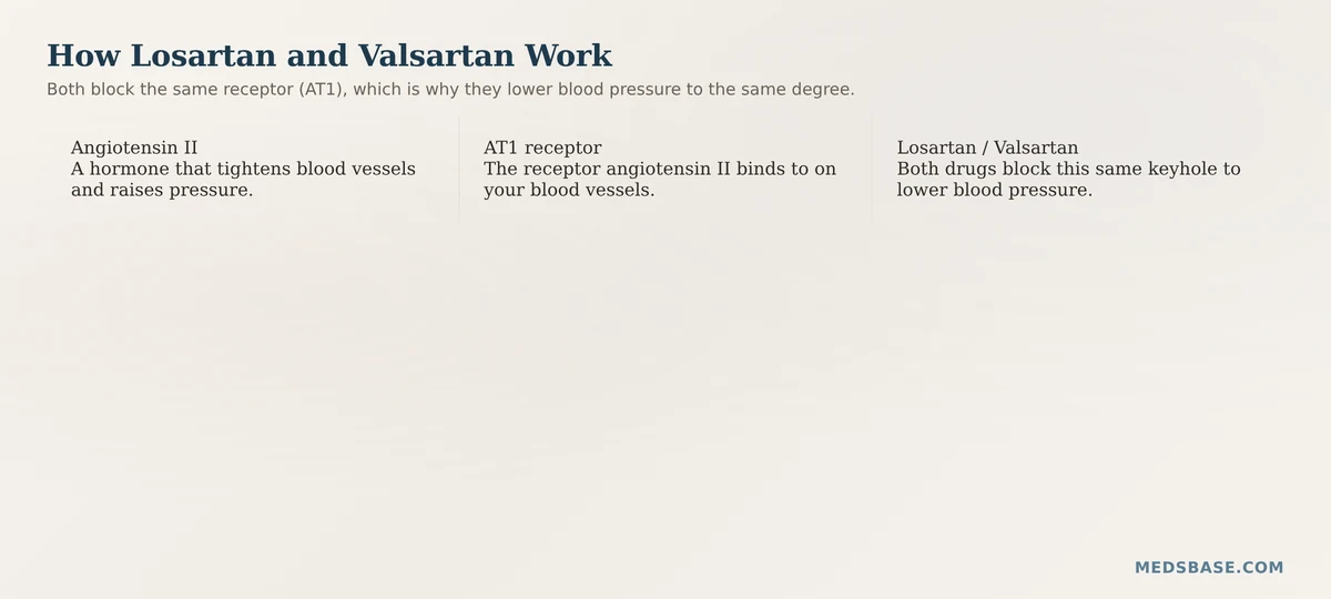 losartan vs valsartan ARB mechanism angiotensin II receptor blockade