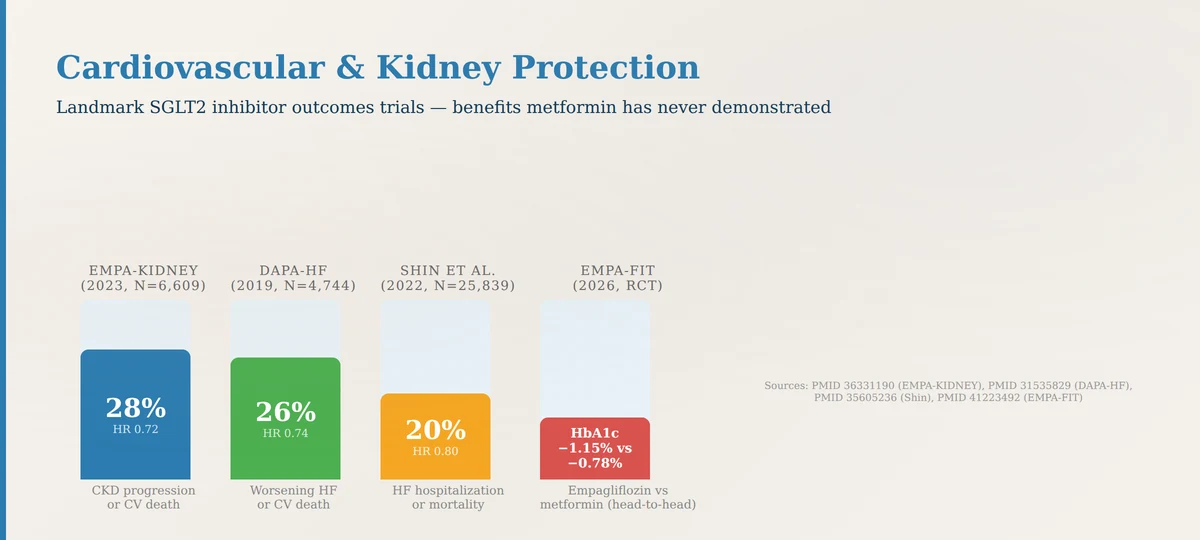 SGLT2 inhibitors cardiorenal outcomes EMPA-KIDNEY DAPA-HF metformin vs SGLT2 comparison