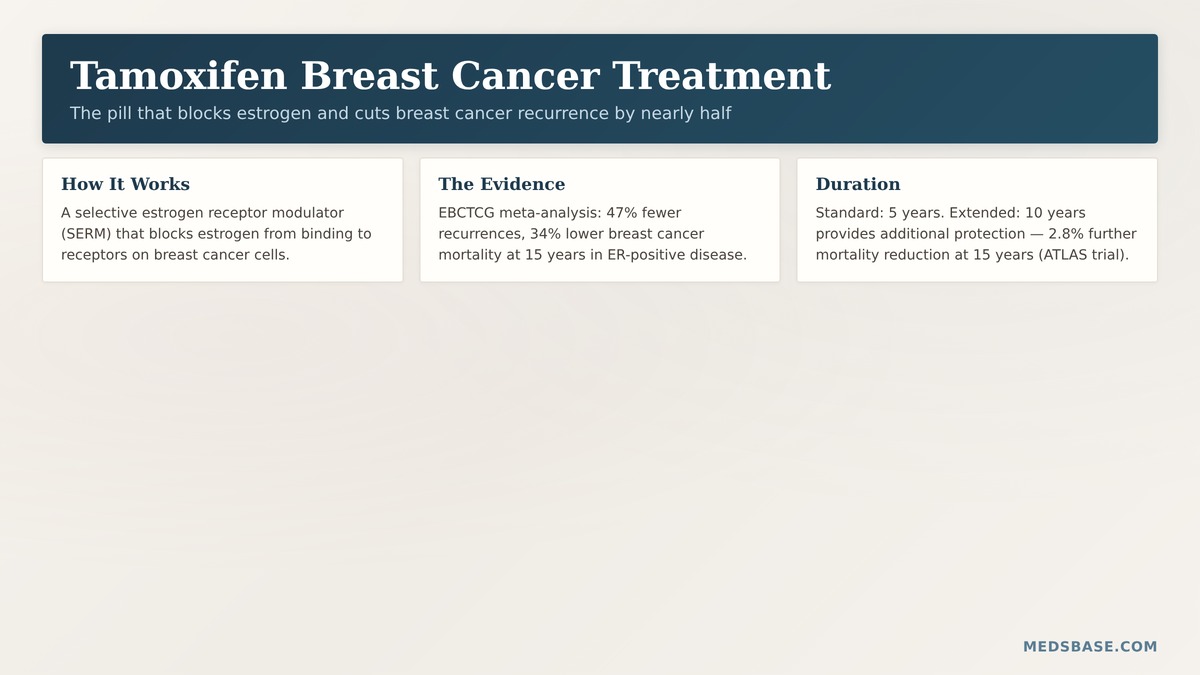 tamoxifen breast cancer treatment estrogen receptor blocker recurrence prevention explained