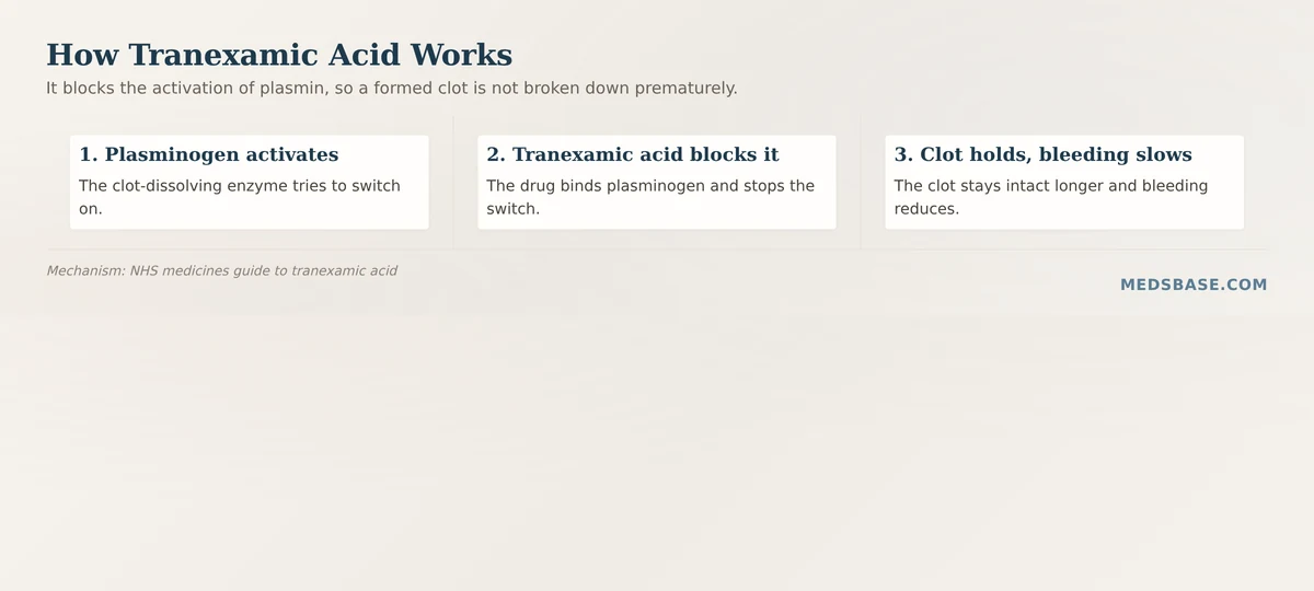 how tranexamic acid antifibrinolytic mechanism blocks plasminogen stabilizes clots