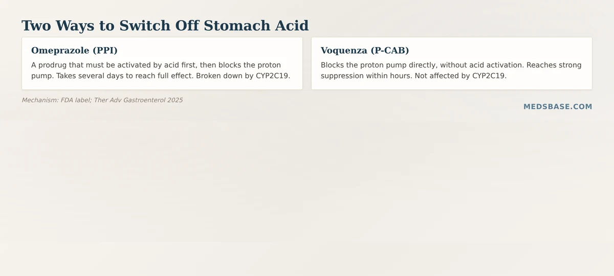 Voquenza vonoprazan potassium competitive acid blocker vs omeprazole proton pump inhibitor mechanism